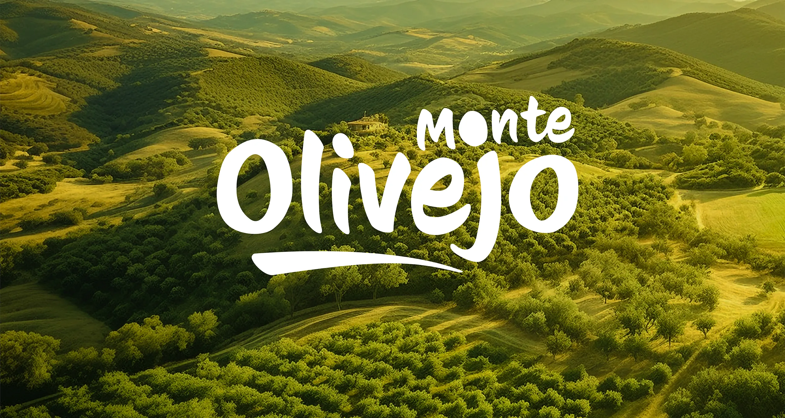 Monte Olivejo - Treche Studio
